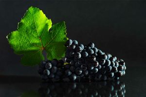 Пино Меньё - виноградник «Золотая Балка»