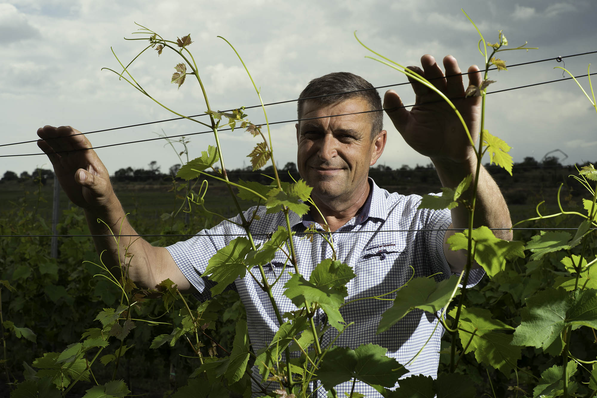 Ведущему агроному винодельни «Золотая Балка» присвоено звание «Заслуженный работник сельского хозяйства» - новости «Золотая Балка»