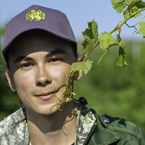 Виноград, палатки, лето: в «Золотой Балке» проходят практику студенты петербургских вузов - новости «Золотая Балка»