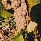 Виноградники - Экосистема «Золотая Балка»